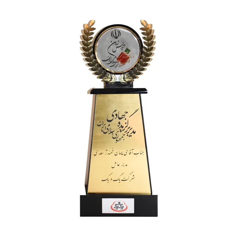 مدیر برگزیده جهادی