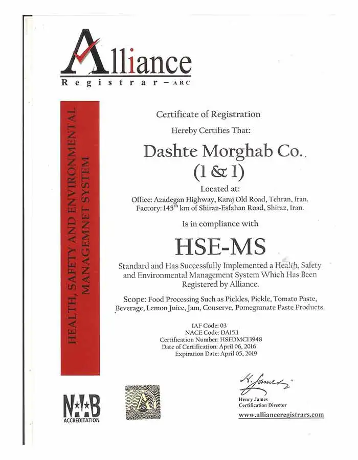 HSE-MS